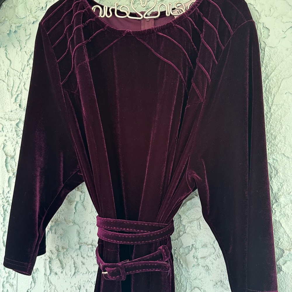 Unique Vintage velvet dress